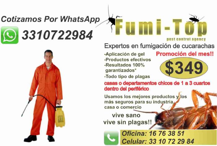 control de plagas